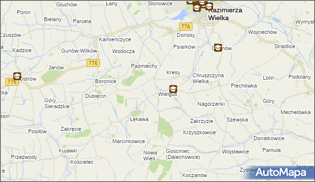 mapa Wielgus, Wielgus na mapie Targeo