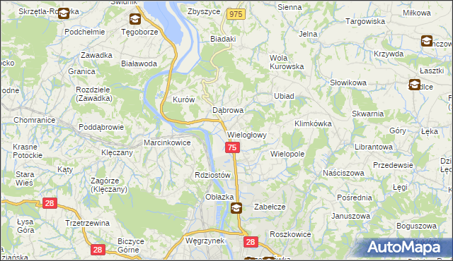 mapa Wielogłowy gmina Chełmiec, Wielogłowy gmina Chełmiec na mapie Targeo