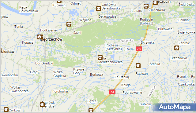 mapa Wola Mędrzechowska, Wola Mędrzechowska na mapie Targeo