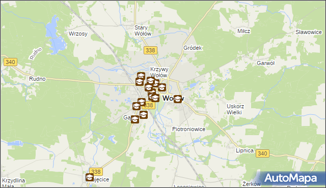 mapa Wołów, Wołów na mapie Targeo