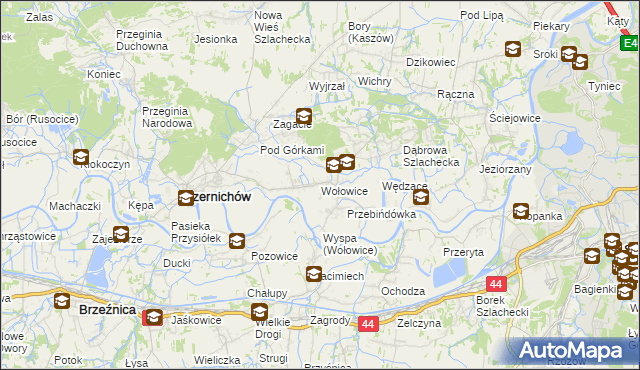 mapa Wołowice, Wołowice na mapie Targeo