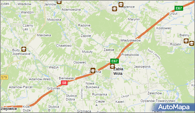 mapa Wycinki Osowskie, Wycinki Osowskie na mapie Targeo