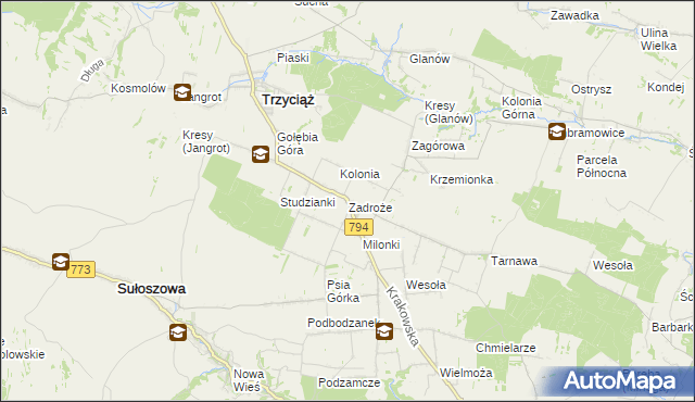 mapa Zadroże, Zadroże na mapie Targeo