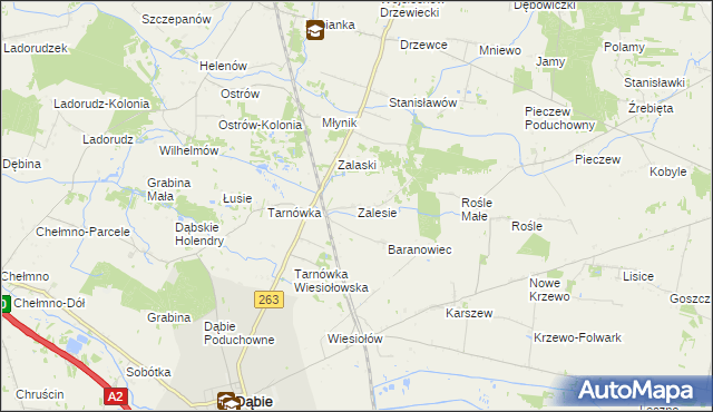 mapa Zalesie gmina Dąbie, Zalesie gmina Dąbie na mapie Targeo
