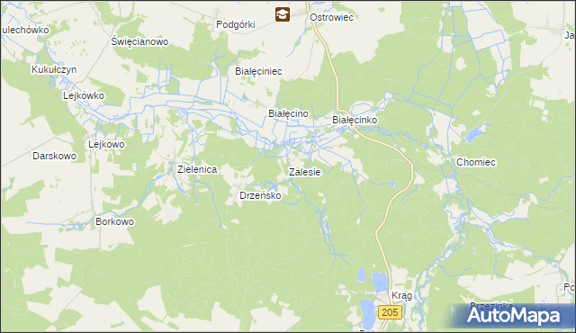 mapa Zalesie gmina Malechowo, Zalesie gmina Malechowo na mapie Targeo