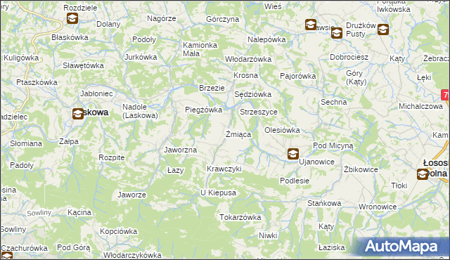 mapa Żmiąca, Żmiąca na mapie Targeo