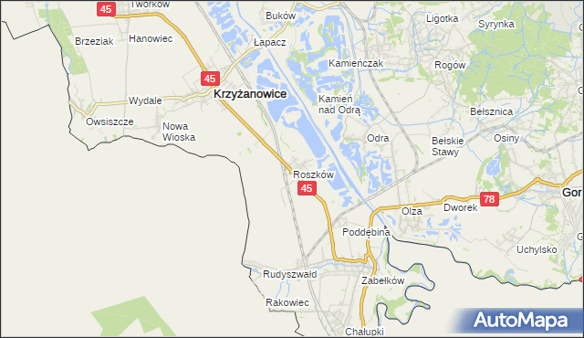 mapa Roszków gmina Krzyżanowice, Roszków gmina Krzyżanowice na mapie Targeo