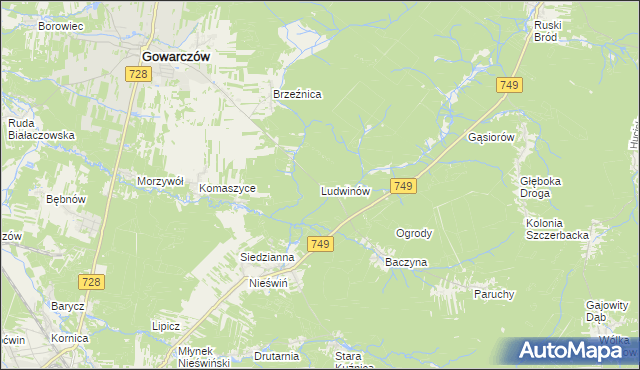 mapa Ludwinów gmina Gowarczów, Ludwinów gmina Gowarczów na mapie Targeo