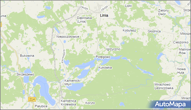 mapa Potęgowo gmina Linia, Potęgowo gmina Linia na mapie Targeo