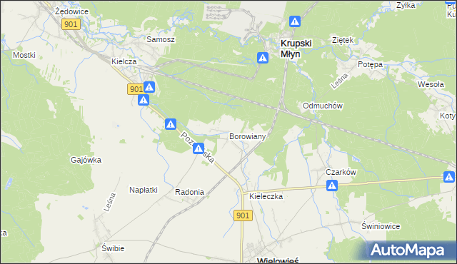 mapa Borowiany, Borowiany na mapie Targeo