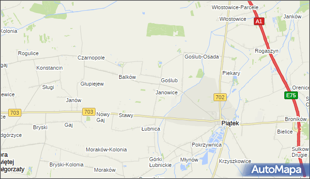 mapa Janowice gmina Piątek, Janowice gmina Piątek na mapie Targeo