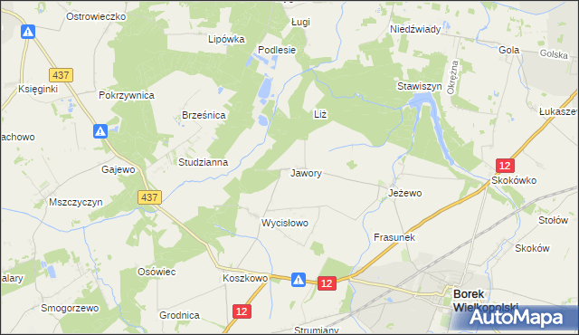 mapa Jawory gmina Borek Wielkopolski, Jawory gmina Borek Wielkopolski na mapie Targeo