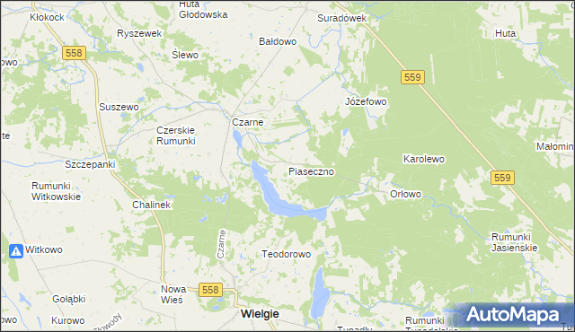 mapa Piaseczno gmina Wielgie, Piaseczno gmina Wielgie na mapie Targeo