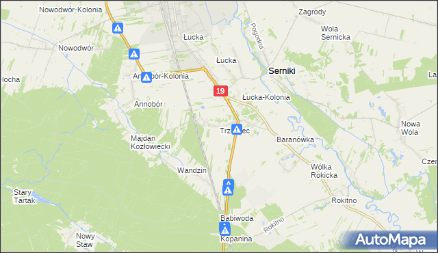 mapa Trzciniec gmina Lubartów, Trzciniec gmina Lubartów na mapie Targeo