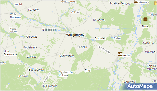 mapa Anielin gmina Wielgomłyny, Anielin gmina Wielgomłyny na mapie Targeo