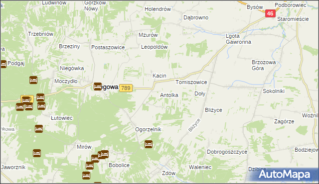 mapa Antolka gmina Niegowa, Antolka gmina Niegowa na mapie Targeo