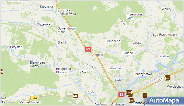 mapa Antonie gmina Olszewo-Borki, Antonie gmina Olszewo-Borki na mapie Targeo