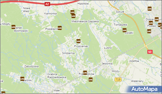 mapa Antoniew gmina Wiskitki, Antoniew gmina Wiskitki na mapie Targeo