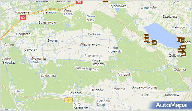 mapa Antoninów gmina Łąck, Antoninów gmina Łąck na mapie Targeo