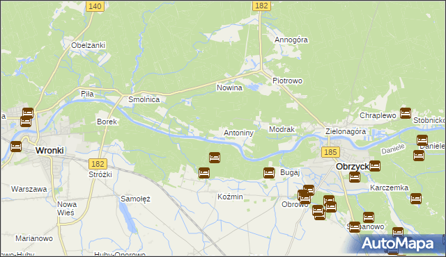 mapa Antoniny gmina Obrzycko, Antoniny gmina Obrzycko na mapie Targeo