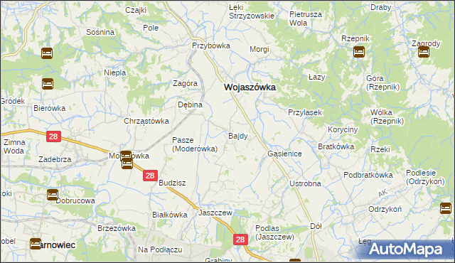 mapa Bajdy gmina Wojaszówka, Bajdy gmina Wojaszówka na mapie Targeo