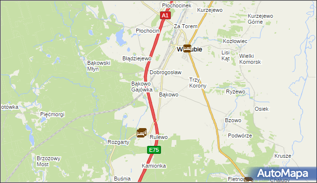 mapa Bąkowo gmina Warlubie, Bąkowo gmina Warlubie na mapie Targeo