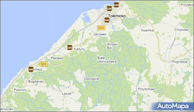 mapa Biała Leśniczówka gmina Tolkmicko, Biała Leśniczówka gmina Tolkmicko na mapie Targeo