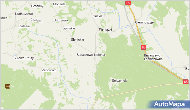 mapa Białaszewo, Białaszewo na mapie Targeo
