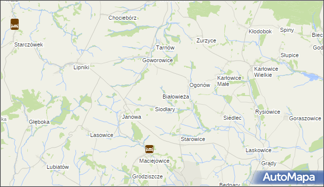 mapa Białowieża gmina Kamiennik, Białowieża gmina Kamiennik na mapie Targeo