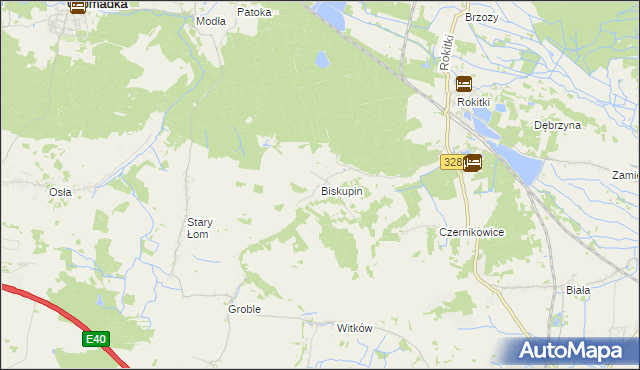 mapa Biskupin gmina Chojnów, Biskupin gmina Chojnów na mapie Targeo