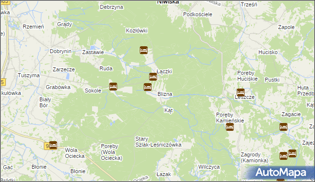 mapa Blizna gmina Ostrów, Blizna gmina Ostrów na mapie Targeo