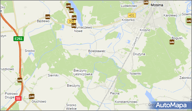 mapa Borkowice gmina Mosina, Borkowice gmina Mosina na mapie Targeo