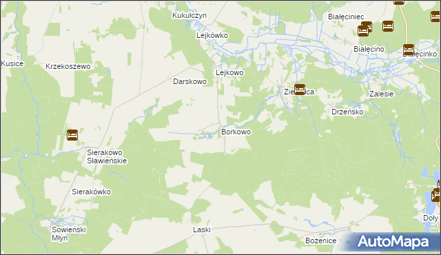 mapa Borkowo gmina Malechowo, Borkowo gmina Malechowo na mapie Targeo