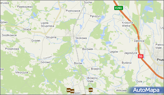 mapa Borówek gmina Prusice, Borówek gmina Prusice na mapie Targeo