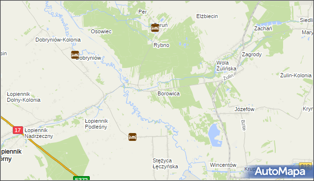 mapa Borowica gmina Łopiennik Górny, Borowica gmina Łopiennik Górny na mapie Targeo