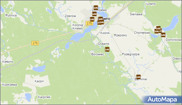 mapa Borowiec gmina Drawno, Borowiec gmina Drawno na mapie Targeo