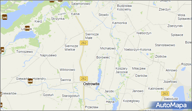 mapa Borówiec gmina Ostrowite, Borówiec gmina Ostrowite na mapie Targeo