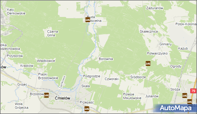 mapa Borownia, Borownia na mapie Targeo