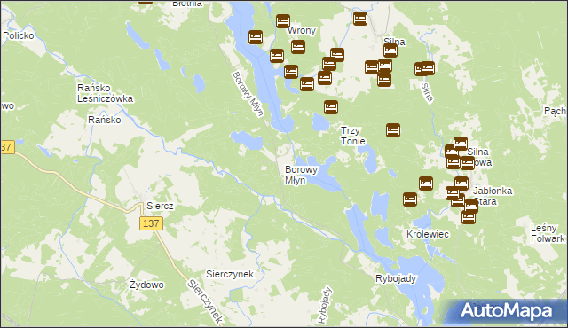 mapa Borowy Młyn gmina Pszczew, Borowy Młyn gmina Pszczew na mapie Targeo