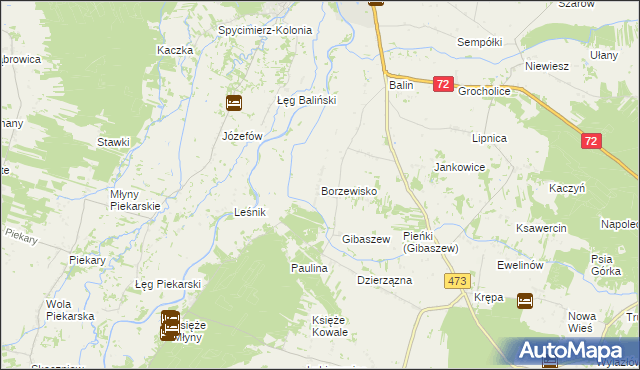 mapa Borzewisko gmina Poddębice, Borzewisko gmina Poddębice na mapie Targeo