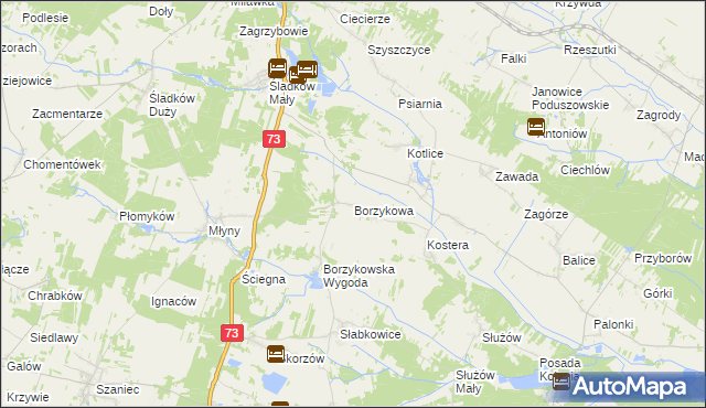 mapa Borzykowa gmina Chmielnik, Borzykowa gmina Chmielnik na mapie Targeo
