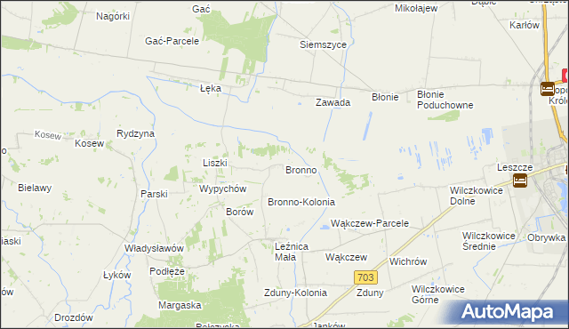 mapa Bronno gmina Łęczyca, Bronno gmina Łęczyca na mapie Targeo