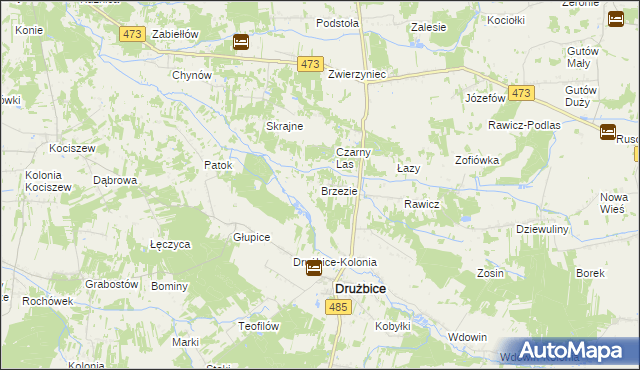 mapa Brzezie gmina Drużbice, Brzezie gmina Drużbice na mapie Targeo