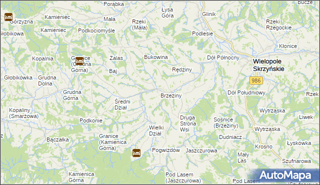 mapa Brzeziny gmina Wielopole Skrzyńskie, Brzeziny gmina Wielopole Skrzyńskie na mapie Targeo
