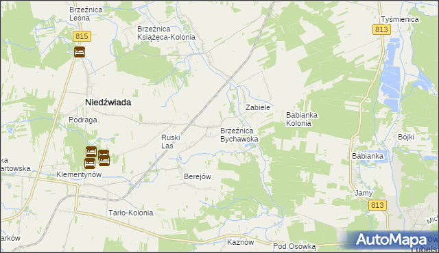 mapa Brzeźnica Bychawska, Brzeźnica Bychawska na mapie Targeo