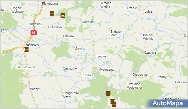 mapa Brzózka gmina Wińsko, Brzózka gmina Wińsko na mapie Targeo