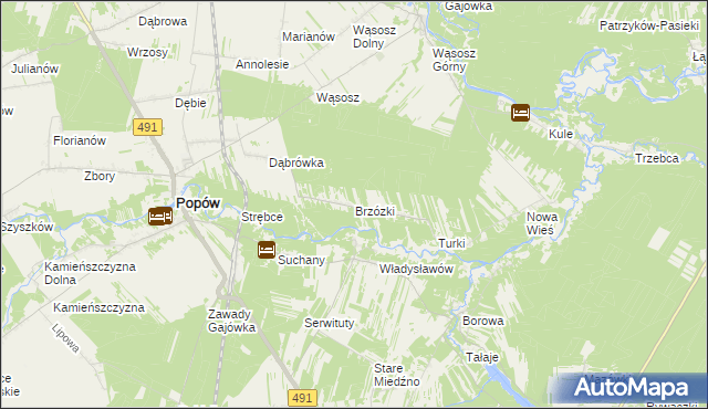 mapa Brzózki gmina Popów, Brzózki gmina Popów na mapie Targeo