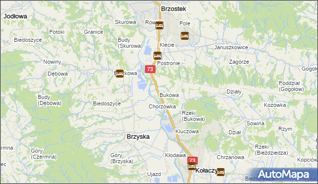 mapa Bukowa gmina Brzostek, Bukowa gmina Brzostek na mapie Targeo