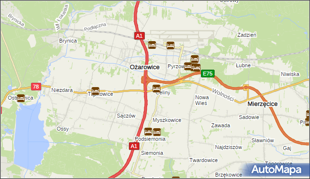 mapa Celiny gmina Ożarowice, Celiny gmina Ożarowice na mapie Targeo