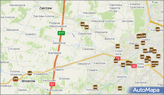 mapa Cerekiew gmina Zakrzew, Cerekiew gmina Zakrzew na mapie Targeo